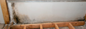 Water Removal NJ